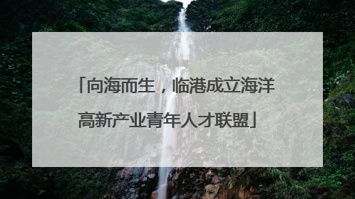 向海而生，临港成立海洋高新产业青年人才联盟