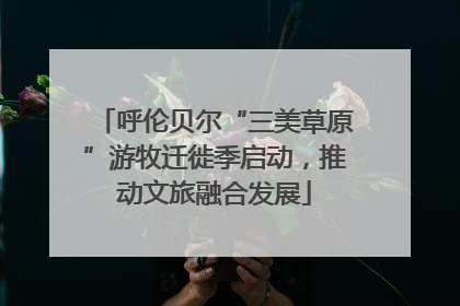 呼伦贝尔“三美草原”游牧迁徙季启动，推动文旅融合发展