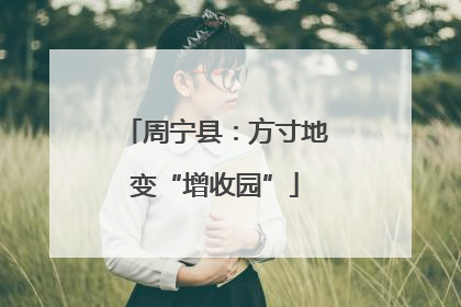 周宁县：方寸地变“增收园”