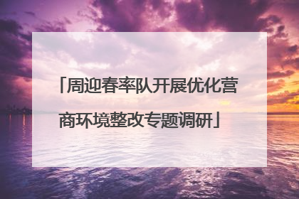 周迎春率队开展优化营商环境整改专题调研