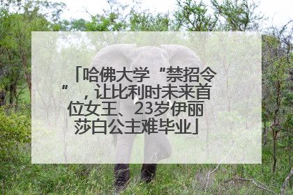 哈佛大学“禁招令”，让比利时未来首位女王、23岁伊丽莎白公主难毕业