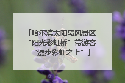哈尔滨太阳岛风景区“阳光彩虹桥”带游客“漫步彩虹之上”