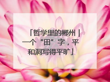哲学里的郴州｜一个“田”字，平和洞写得平旷