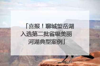 喜报！聊城望岳湖入选第二批省级美丽河湖典型案例