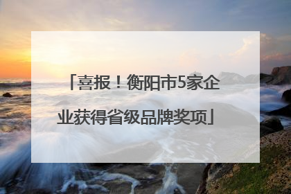 喜报！衡阳市5家企业获得省级品牌奖项