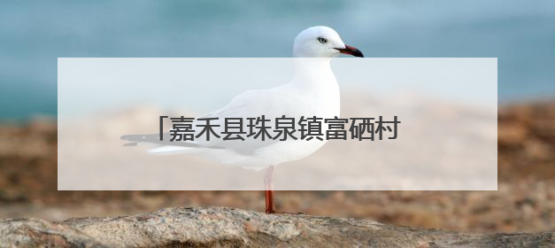 嘉禾县珠泉镇富硒村：深耕“硒”望田野 激活乡村振兴新动能