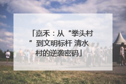 嘉禾：从“拳头村”到文明标杆 清水村的逆袭密码