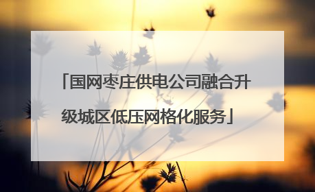 国网枣庄供电公司融合升级城区低压网格化服务