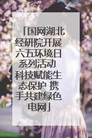国网湖北经研院开展六五环境日系列活动 科技赋能生态保护 携手共建绿色电网