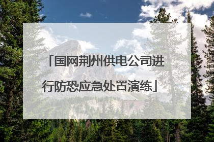 国网荆州供电公司进行防恐应急处置演练