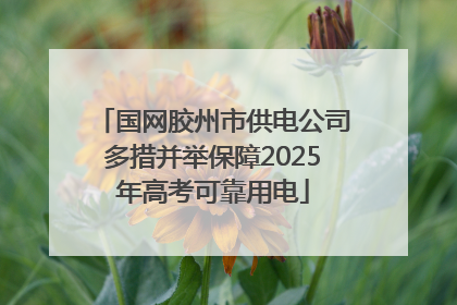 国网胶州市供电公司多措并举保障2025年高考可靠用电