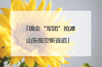 国企“军团”抢滩山东低空新赛道