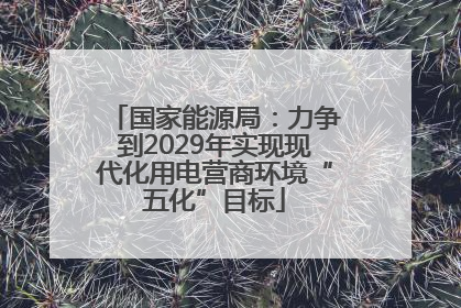 国家能源局：力争到2029年实现现代化用电营商环境“五化”目标