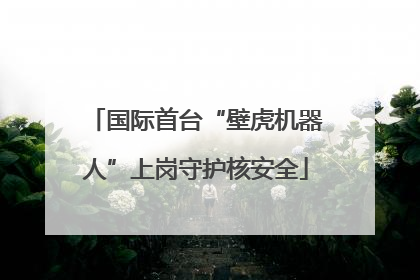 国际首台“壁虎机器人”上岗守护核安全