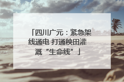 四川广元：紧急架线通电 打通秧田灌溉“生命线”