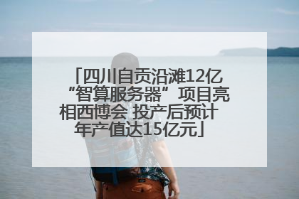 四川自贡沿滩12亿“智算服务器”项目亮相西博会 投产后预计年产值达15亿元