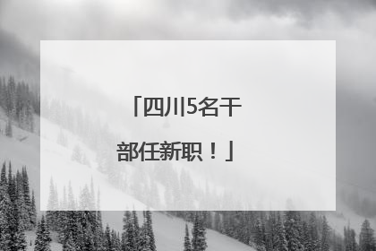 四川5名干部任新职！