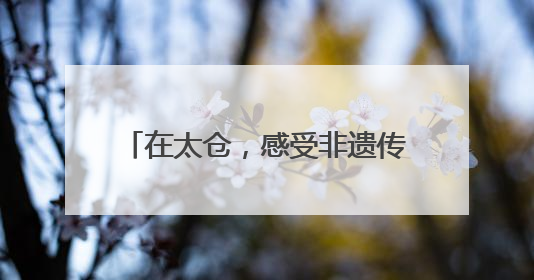 在太仓，感受非遗传承的“硬核浪漫”