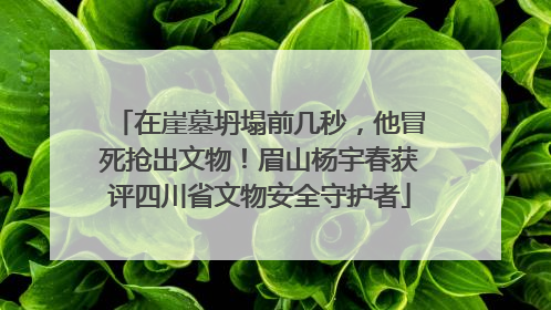 在崖墓坍塌前几秒，他冒死抢出文物！眉山杨宇春获评四川省文物安全守护者