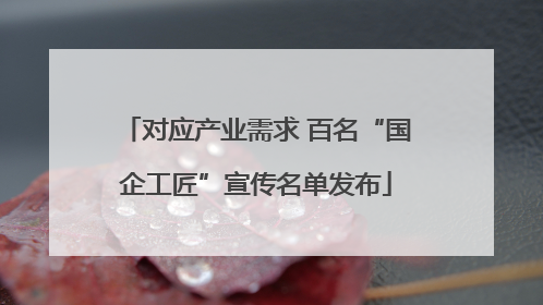 对应产业需求 百名“国企工匠”宣传名单发布