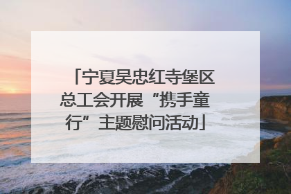 宁夏吴忠红寺堡区总工会开展“携手童行”主题慰问活动