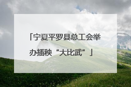宁夏平罗县总工会举办插秧“大比武”