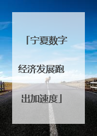 宁夏数字经济发展跑出加速度