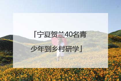 宁夏贺兰40名青少年到乡村研学