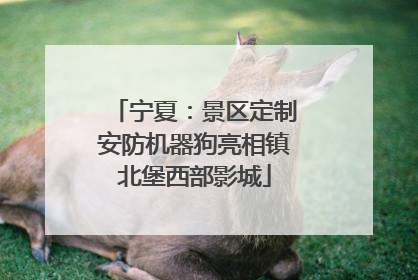 宁夏：景区定制安防机器狗亮相镇北堡西部影城