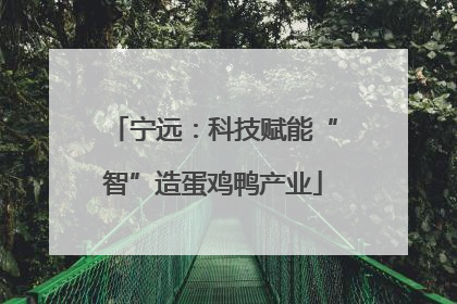 宁远：科技赋能“智”造蛋鸡鸭产业