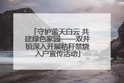 守护蓝天白云 共建绿色家园——双井镇深入开展秸秆禁烧入户宣传活动