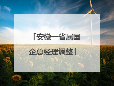 安徽一省属国企总经理调整