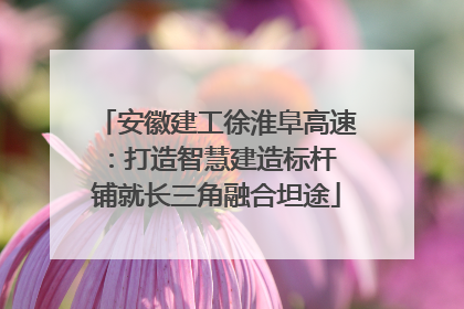 安徽建工徐淮阜高速：打造智慧建造标杆 铺就长三角融合坦途