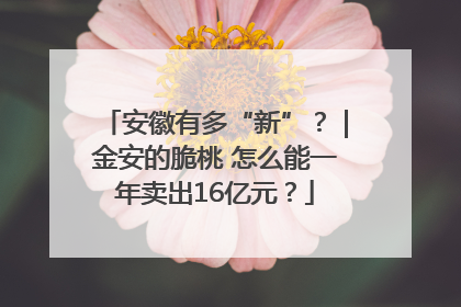 安徽有多“新”？｜金安的脆桃 怎么能一年卖出16亿元？