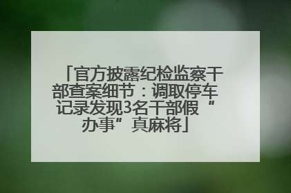 官方披露纪检监察干部查案细节：调取停车记录发现3名干部假“办事”真麻将