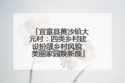 宜章县黄沙镇大元村：四类乡村建设扮靓乡村风貌 美丽家园焕新颜