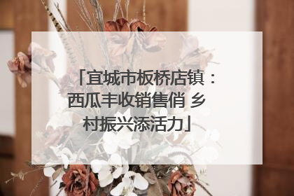 宜城市板桥店镇：西瓜丰收销售俏 乡村振兴添活力