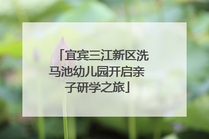 宜宾三江新区洗马池幼儿园开启亲子研学之旅