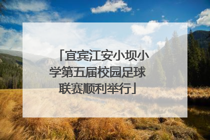 宜宾江安小坝小学第五届校园足球联赛顺利举行