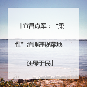 宜昌点军：“柔性”清理违规菜地 还绿于民