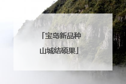 宝岛新品种 山城结硕果