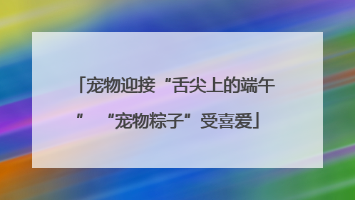 宠物迎接“舌尖上的端午” “宠物粽子”受喜爱