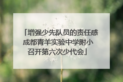 增强少先队员的责任感 成都青羊实验中学附小召开第六次少代会