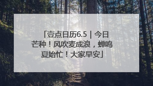 壹点日历6.5｜今日芒种！风吹麦成浪，蝉鸣夏始忙！大家早安