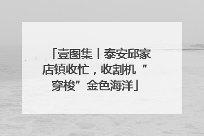 壹图集丨泰安邱家店镇收忙，收割机“穿梭”金色海洋