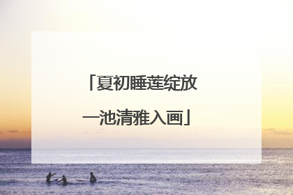 夏初睡莲绽放 一池清雅入画