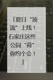 夏日“顶流”上线！石家庄这些公园“荷”你约个会！