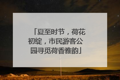 夏至时节，荷花初绽，市民游客公园寻觅荷香雅韵