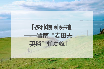 多种粮 种好粮——晋南“麦田夫妻档”忙夏收
