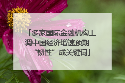 多家国际金融机构上调中国经济增速预期 “韧性”成关键词